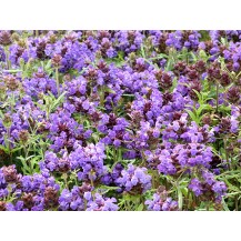 Large self-heal