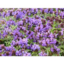 Large self-heal